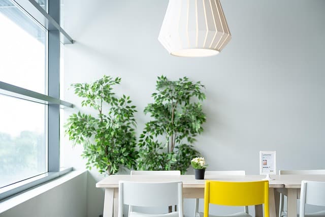 How Smart Indoor Gardens Can Transform Your Home